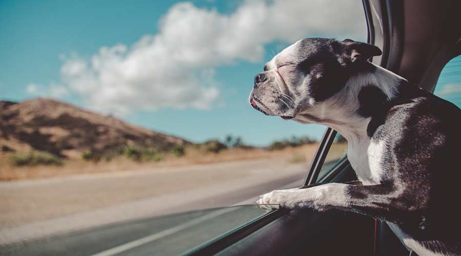 Stressfrei Fliegen & Autofahren